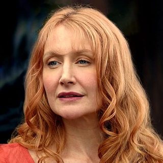 Sarah O'Connor as seen in the show, played by Patricia Clarkson